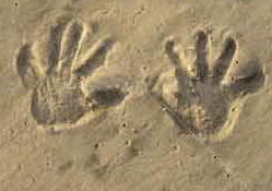 Sand